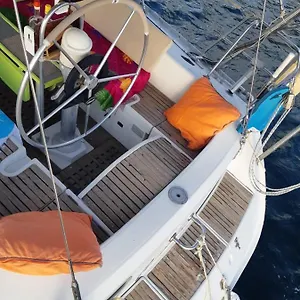 T'chévéré Vivre Avec Les Tortues Autour. Les Anses-d'Arlet